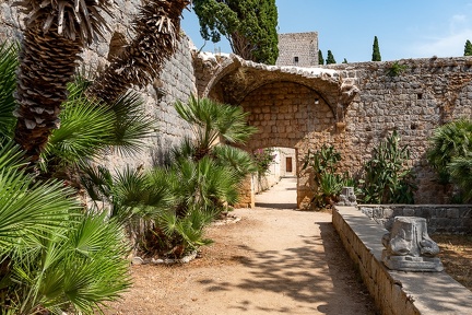 Dubrovnik ile de Lokrum (1)