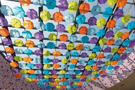 Parapluies Split