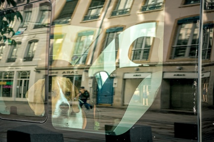 Vitrines21