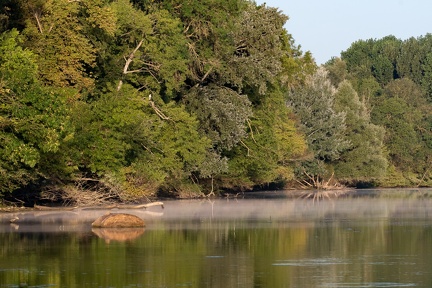 Bord de Saone