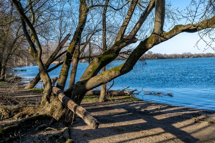 Bord de sâone