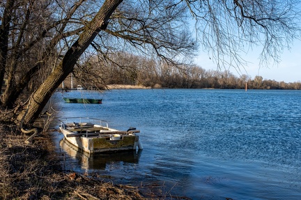 Bord de sâone en hiver, le Colombier, Anse