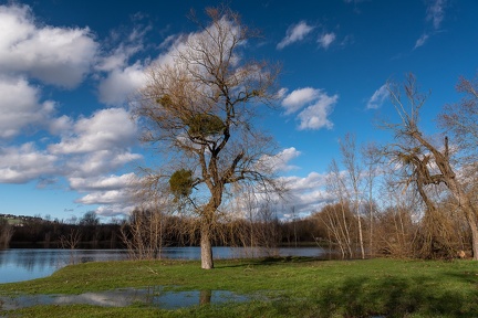 Colombier, plan d'eau