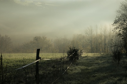 Brume