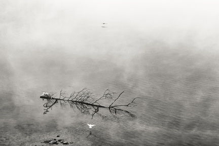 Contrastes