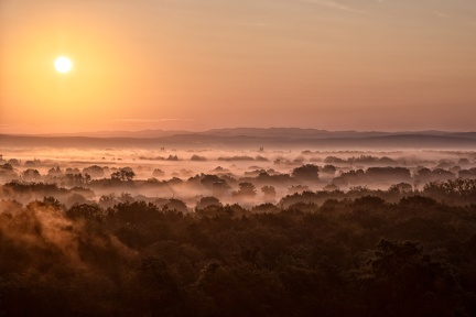Brume sur la Dombes II 