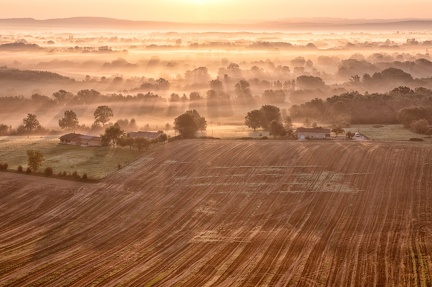 Brume sur la Dombes III