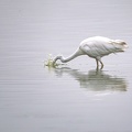 Technique de pêche II - 2389 - 6720 x 4480px.jpg