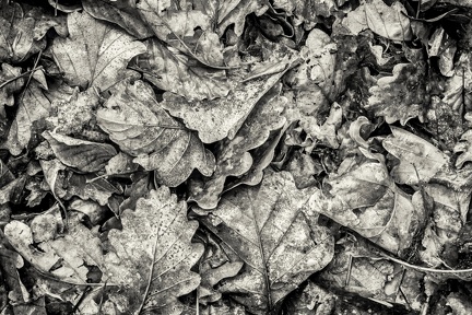 Abstrait