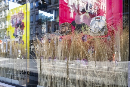 Vitrines49