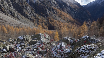 Paysages08