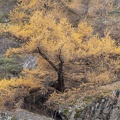 Paysages09.JPG