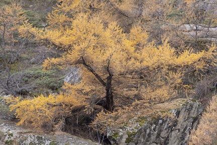 Paysages09