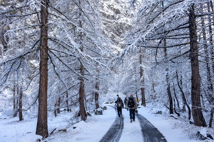Paysage Ch 7