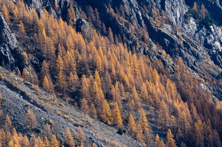 Paysage Ch 9
