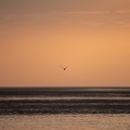 Coucher de soleil au Crotoy - 3969 - 2048px.jpg