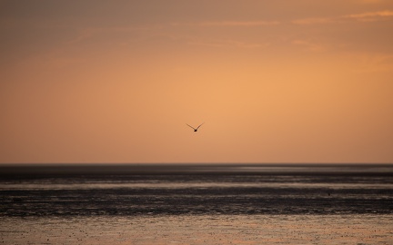 Coucher de soleil au Crotoy - 3969 - 2048px
