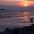 Coucher de soleil au Crotoy - 4269 - 2048px.jpg