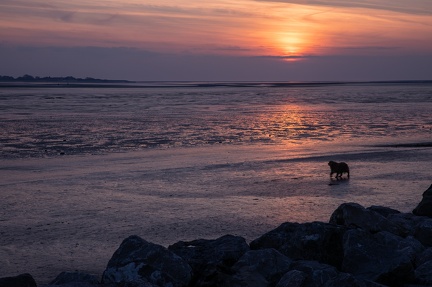 Coucher de soleil au Crotoy - 4269 - 2048px