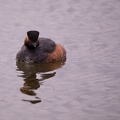 Parc de Grand-Laviers - 4024 - 2048px.jpg