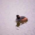 Parc de Grand-Laviers - 4027 - 2048px.jpg