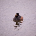 Parc de Grand-Laviers - 4033 - 2048px.jpg