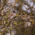 Parc de Grand-Laviers - 4114 - 2048px.jpg