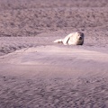 Pointe du Hourdel - 3738 - 2048px.jpg