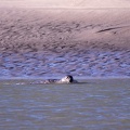 Pointe du Hourdel - 3752 - 2048px.jpg