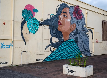le réunionnais est un artiste de rue