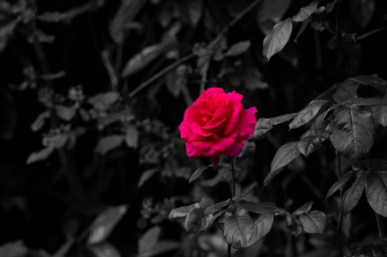 la couleur c'est la vie !