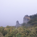 20230923-125010-3373.jpg