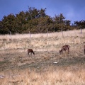 20230923-155910-3406.jpg