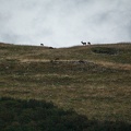 20230922-072853-3337.jpg