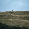 20230922-073911-3340.jpg