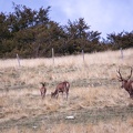 20230923-155945-3408.jpg