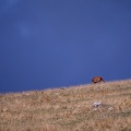 20230923-160134-3417.jpg