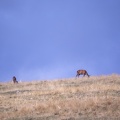 20230923-160514-3425.jpg