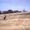 20230923-160605-3427.jpg