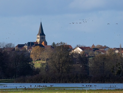 Montier-en-Der - 20231119 - 140458 - 5184 x 3888px